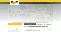 Desktop Screenshot of niccolienergy.com